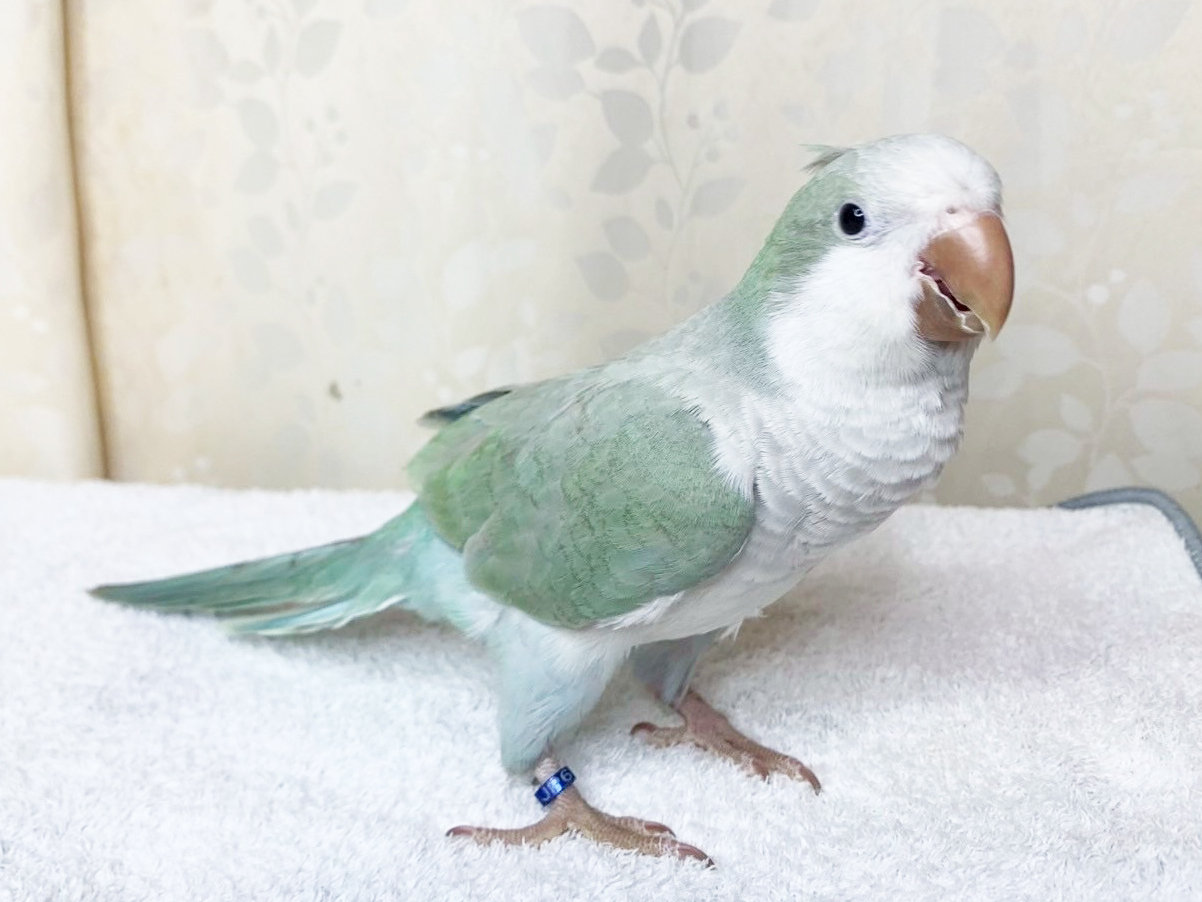 写真 2025-10-01 16 02 03 (4).jpg